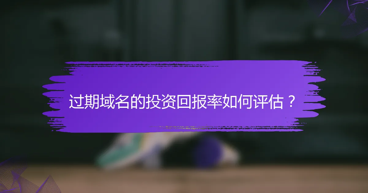 过期域名的投资回报率如何评估？