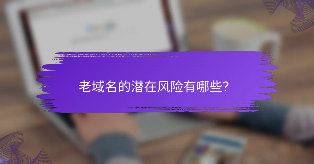 老域名的潜在风险有哪些？
