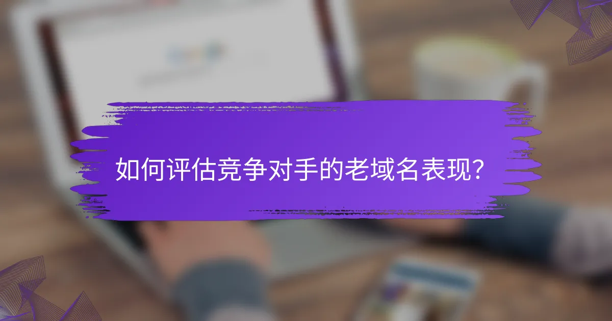 如何评估竞争对手的老域名表现？