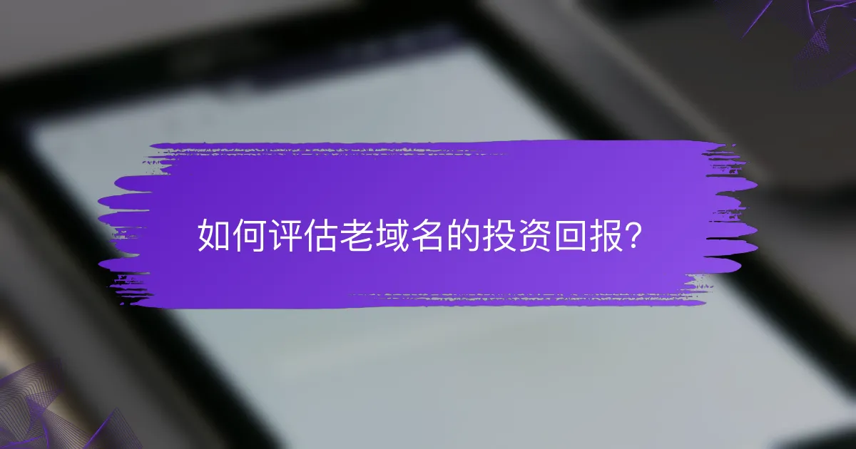 如何评估老域名的投资回报？