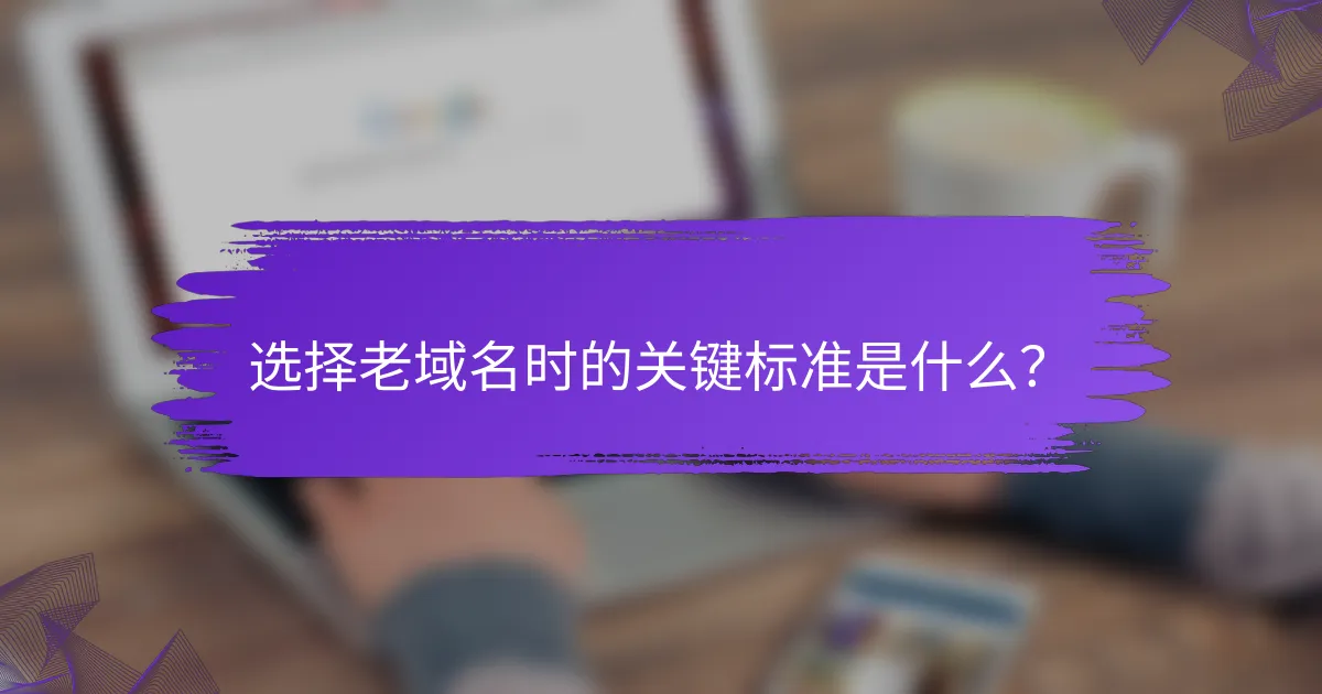 选择老域名时的关键标准是什么？